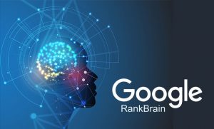 الگوریتم رنک برین - بک اند سئو